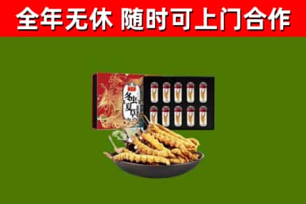 成县区回收冬虫夏草价格