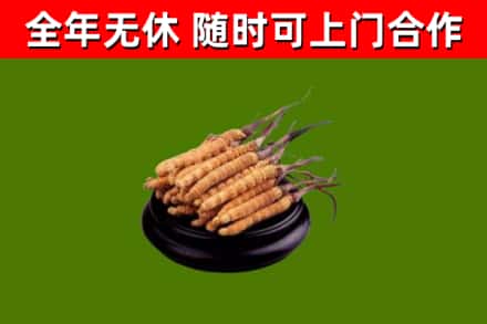 成县区烟酒回收冬虫夏草.jpg